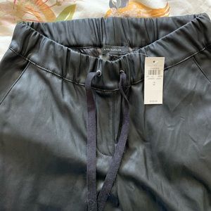 Ann Taylor leather pants